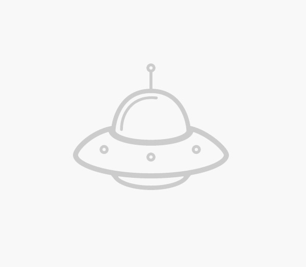Ремонтантная малина Маджестик